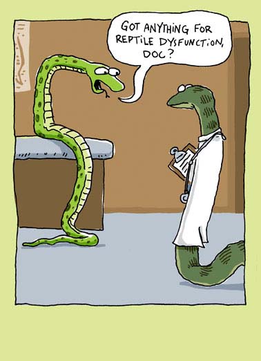 Reptile Dysfunction Funny Birthday  Cartoons  Happy Birthday to a real Stand Up kind of guy.